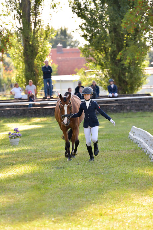 Goldene Schärpe Ponys in Hohenberg Krusemark 2024 | 14072024 Vormustern_146 