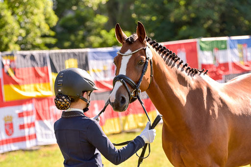 Goldene Schärpe Ponys in Hohenberg Krusemark 2024 | 14072024 Vormustern_148 
