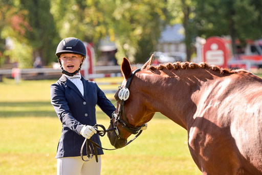 Goldene Schärpe Ponys in Hohenberg Krusemark 2024 | 14072024 Vormustern_150 