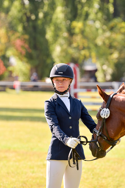 Goldene Schärpe Ponys in Hohenberg Krusemark 2024 | 14072024 Vormustern_151 