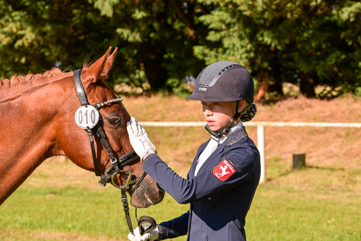 Goldene Schärpe Ponys in Hohenberg Krusemark 2024 | 14072024 Vormustern_154 