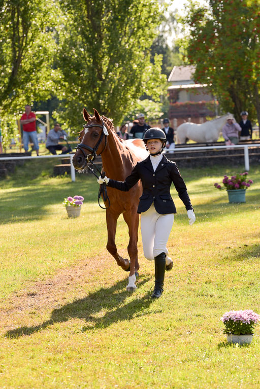 Goldene Schärpe Ponys in Hohenberg Krusemark 2024 | 14072024 Vormustern_155 
