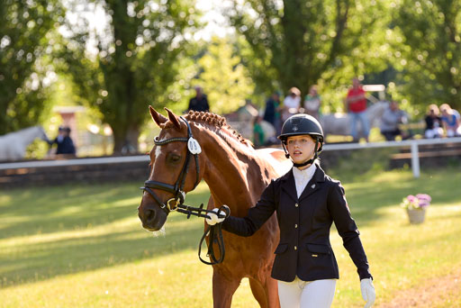 Goldene Schärpe Ponys in Hohenberg Krusemark 2024 | 14072024 Vormustern_156 