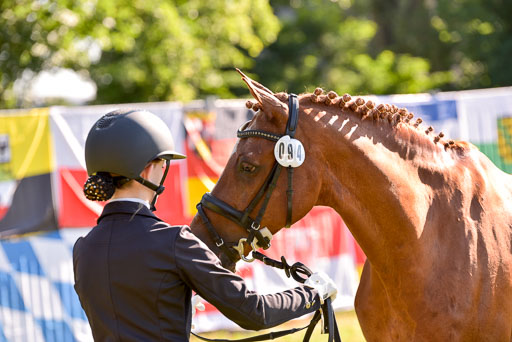 Goldene Schärpe Ponys in Hohenberg Krusemark 2024 | 14072024 Vormustern_157 