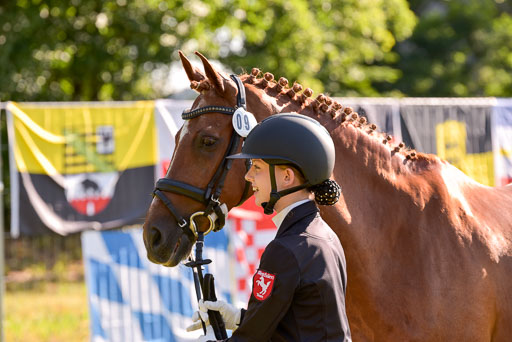 Goldene Schärpe Ponys in Hohenberg Krusemark 2024 | 14072024 Vormustern_159 