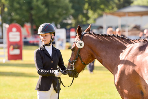 Goldene Schärpe Ponys in Hohenberg Krusemark 2024 | 14072024 Vormustern_160 