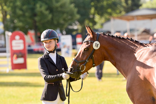 Goldene Schärpe Ponys in Hohenberg Krusemark 2024 | 14072024 Vormustern_161 