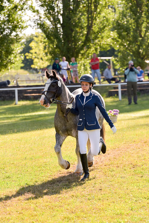 Goldene Schärpe Ponys in Hohenberg Krusemark 2024 | 14072024 Vormustern_164 
