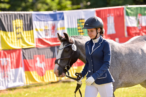 Goldene Schärpe Ponys in Hohenberg Krusemark 2024 | 14072024 Vormustern_165 