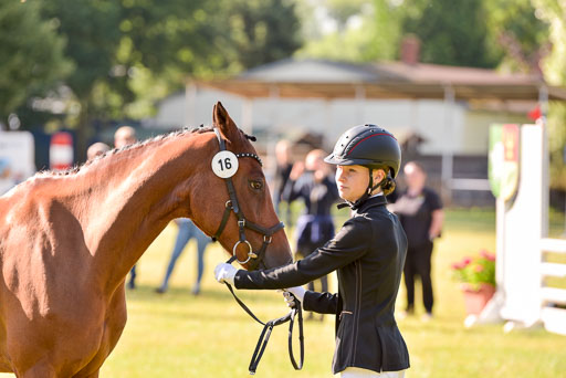 Goldene Schärpe Ponys in Hohenberg Krusemark 2024 | 14072024 Vormustern_166 