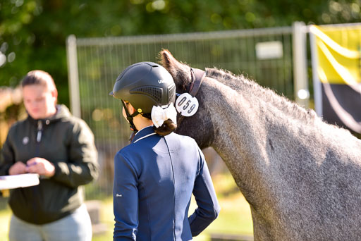 Goldene Schärpe Ponys in Hohenberg Krusemark 2024 | 14072024 Vormustern_168 