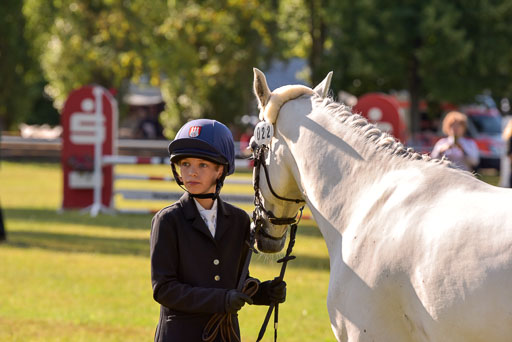 Goldene Schärpe Ponys in Hohenberg Krusemark 2024 | 14072024 Vormustern_170 