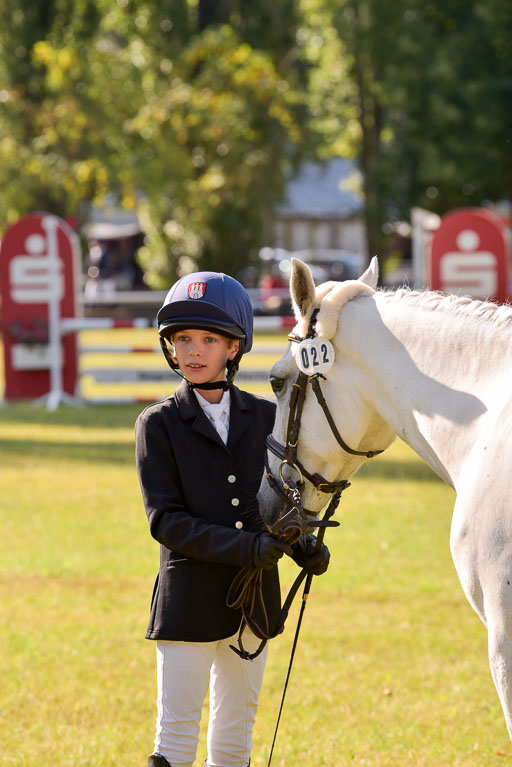 Goldene Schärpe Ponys in Hohenberg Krusemark 2024 | 14072024 Vormustern_172 