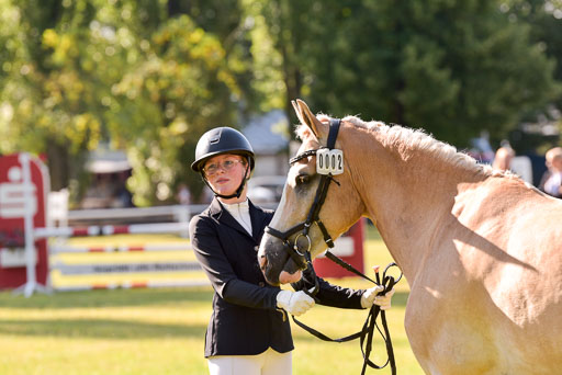 Goldene Schärpe Ponys in Hohenberg Krusemark 2024 | 14072024 Vormustern_178 