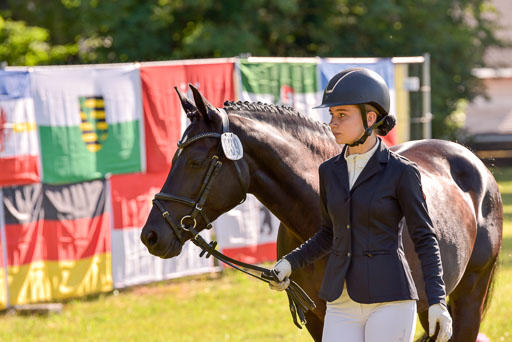 Goldene Schärpe Ponys in Hohenberg Krusemark 2024 | 14072024 Vormustern_181 