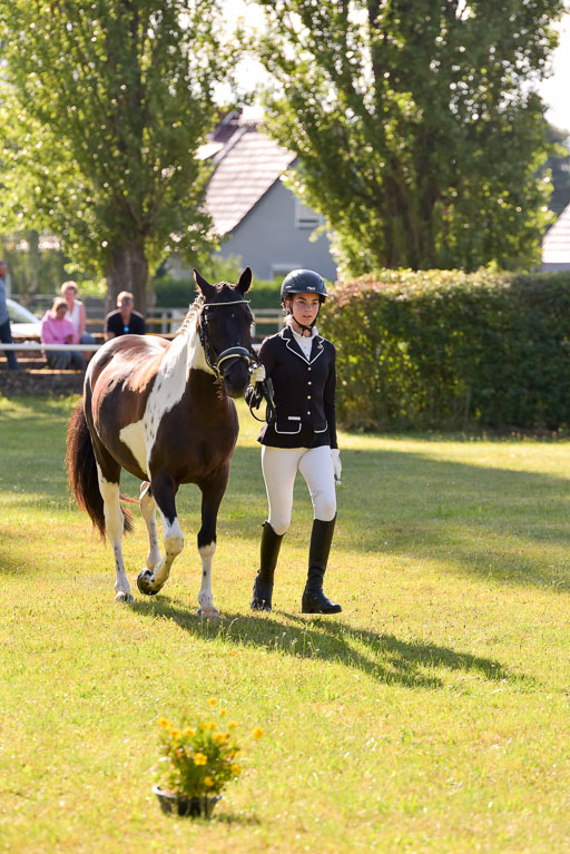 Goldene Schärpe Ponys in Hohenberg Krusemark 2024 | 14072024 Vormustern_187 
