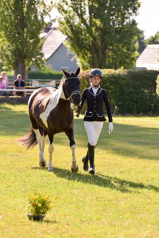 Goldene Schärpe Ponys in Hohenberg Krusemark 2024 | 14072024 Vormustern_188 