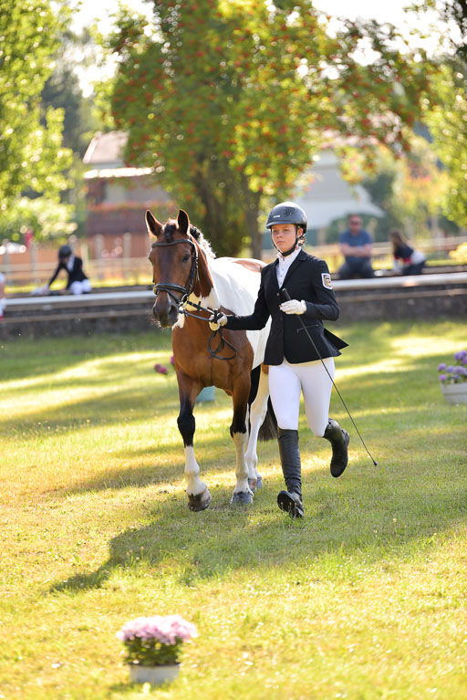 Goldene Schärpe Ponys in Hohenberg Krusemark 2024 | 14072024 Vormustern_189 