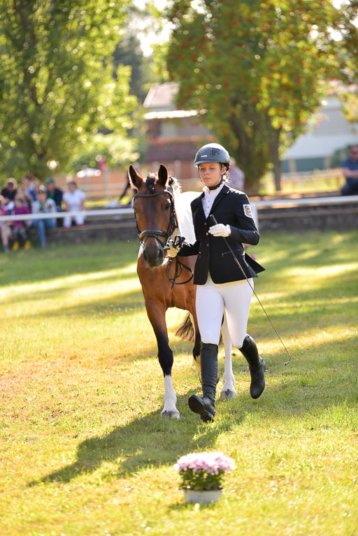 Goldene Schärpe Ponys in Hohenberg Krusemark 2024 | 14072024 Vormustern_190 