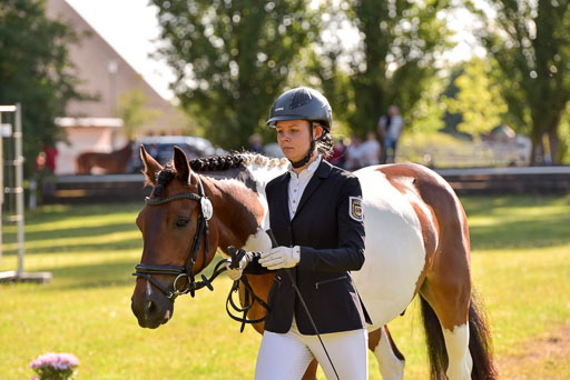 Goldene Schärpe Ponys in Hohenberg Krusemark 2024 | 14072024 Vormustern_191 