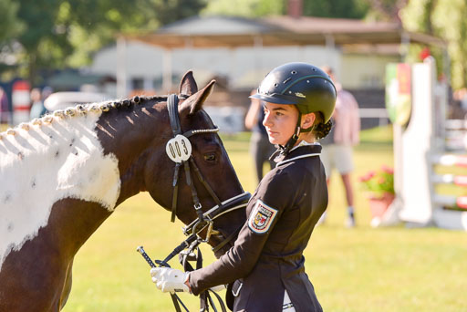Goldene Schärpe Ponys in Hohenberg Krusemark 2024 | 14072024 Vormustern_192 