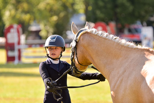 Goldene Schärpe Ponys in Hohenberg Krusemark 2024 | 14072024 Vormustern_193 