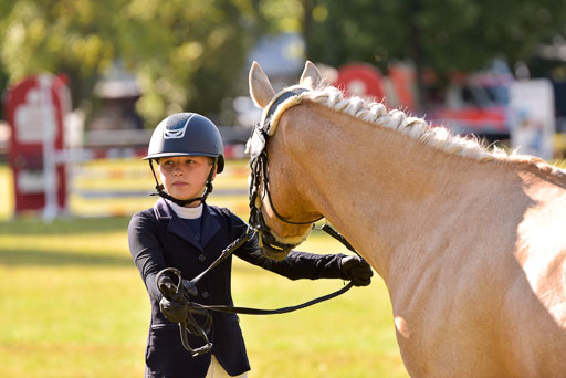 Goldene Schärpe Ponys in Hohenberg Krusemark 2024 | 14072024 Vormustern_194 