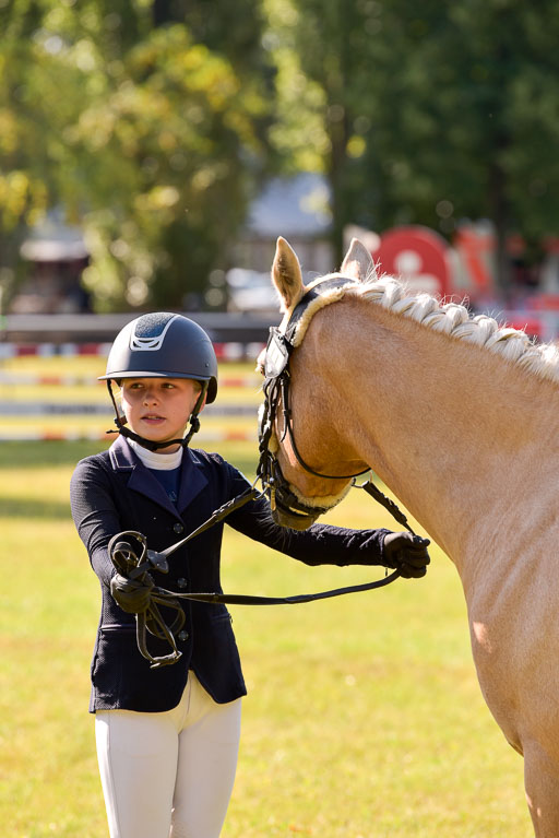 Goldene Schärpe Ponys in Hohenberg Krusemark 2024 | 14072024 Vormustern_195 