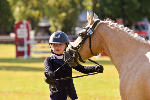 Goldene Schärpe Ponys in Hohenberg Krusemark 2024 | 14072024 Vormustern_196 