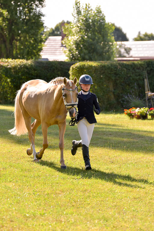 Goldene Schärpe Ponys in Hohenberg Krusemark 2024 | 14072024 Vormustern_197 