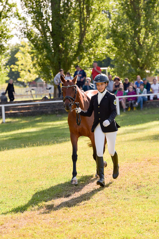Goldene Schärpe Ponys in Hohenberg Krusemark 2024 | 14072024 Vormustern_199 