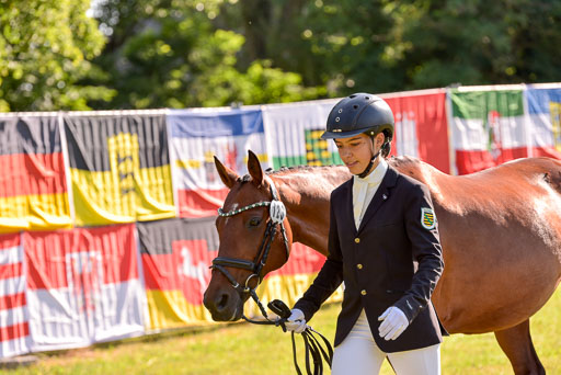 Goldene Schärpe Ponys in Hohenberg Krusemark 2024 | 14072024 Vormustern_201 