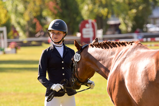 Goldene Schärpe Ponys in Hohenberg Krusemark 2024 | 14072024 Vormustern_203 