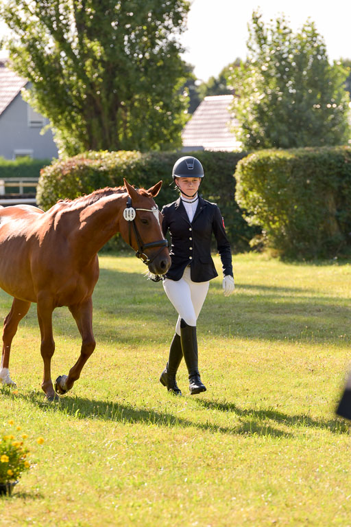 Goldene Schärpe Ponys in Hohenberg Krusemark 2024 | 14072024 Vormustern_208 