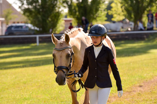 Goldene Schärpe Ponys in Hohenberg Krusemark 2024 | 14072024 Vormustern_210 