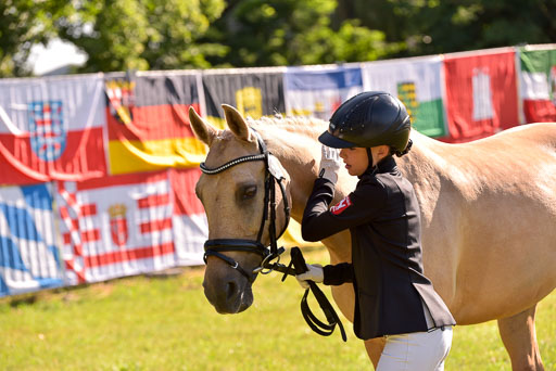 Goldene Schärpe Ponys in Hohenberg Krusemark 2024 | 14072024 Vormustern_211 