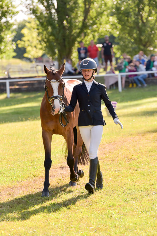 Goldene Schärpe Ponys in Hohenberg Krusemark 2024 | 14072024 Vormustern_214 