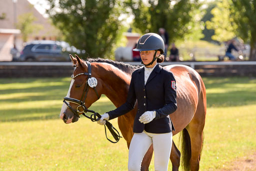 Goldene Schärpe Ponys in Hohenberg Krusemark 2024 | 14072024 Vormustern_215 
