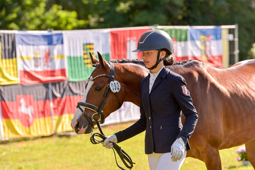 Goldene Schärpe Ponys in Hohenberg Krusemark 2024 | 14072024 Vormustern_216 