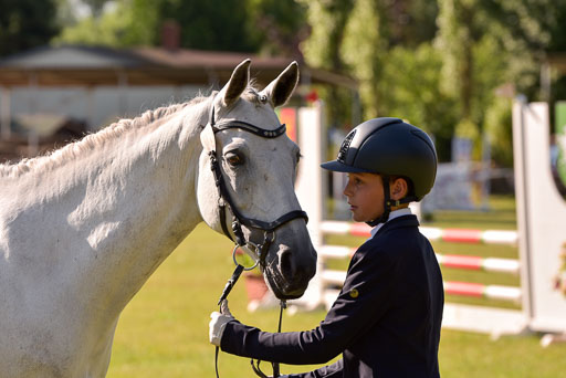 Goldene Schärpe Ponys in Hohenberg Krusemark 2024 | 14072024 Vormustern_217 