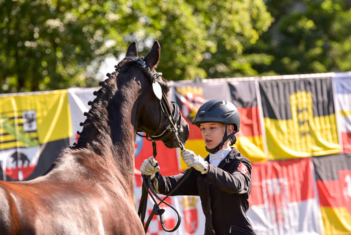 Goldene Schärpe Ponys in Hohenberg Krusemark 2024 | 14072024 Vormustern_219 