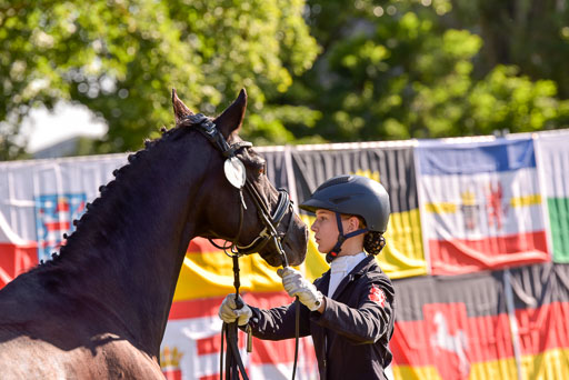 Goldene Schärpe Ponys in Hohenberg Krusemark 2024 | 14072024 Vormustern_221 