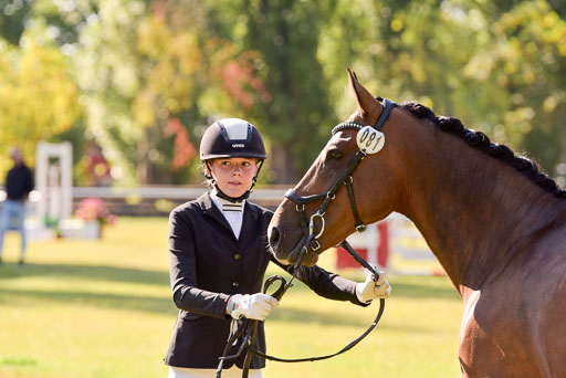 Goldene Schärpe Ponys in Hohenberg Krusemark 2024 | 14072024 Vormustern_222 