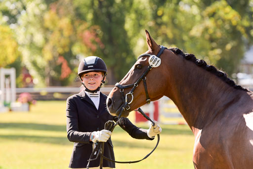 Goldene Schärpe Ponys in Hohenberg Krusemark 2024 | 14072024 Vormustern_223 