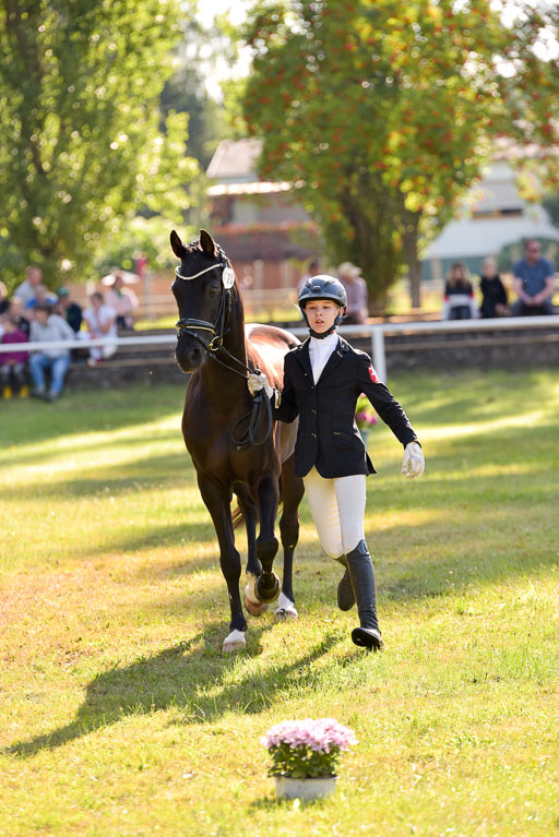 Goldene Schärpe Ponys in Hohenberg Krusemark 2024 | 14072024 Vormustern_224 