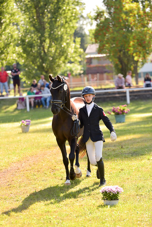 Goldene Schärpe Ponys in Hohenberg Krusemark 2024 | 14072024 Vormustern_225 
