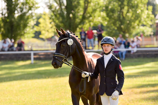 Goldene Schärpe Ponys in Hohenberg Krusemark 2024 | 14072024 Vormustern_226 