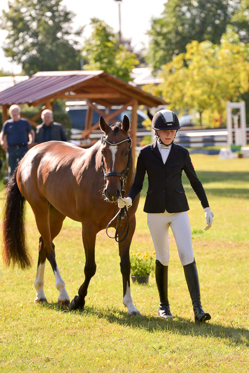 Goldene Schärpe Ponys in Hohenberg Krusemark 2024 | 14072024 Vormustern_228 