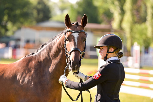 Goldene Schärpe Ponys in Hohenberg Krusemark 2024 | 14072024 Vormustern_229 