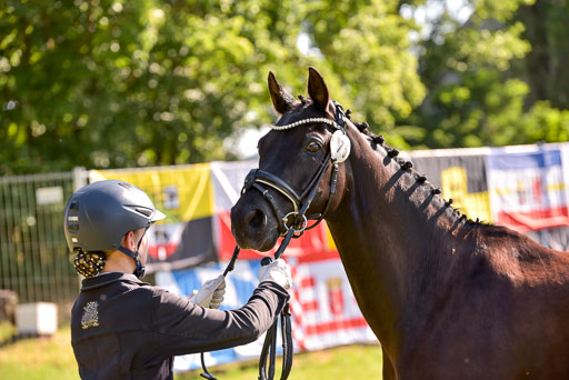 Goldene Schärpe Ponys in Hohenberg Krusemark 2024 | 14072024 Vormustern_230 